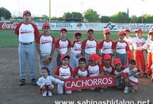 Cachorros