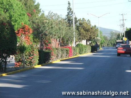 Avenida Emilio Hernández