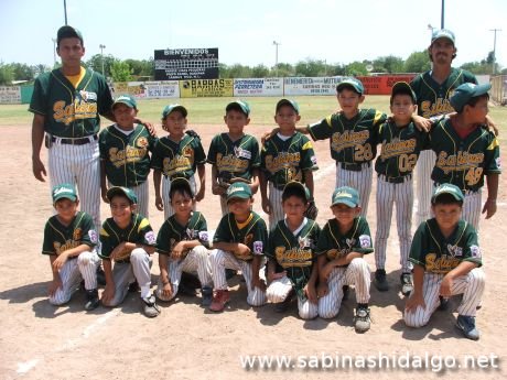 Selección de categoría moyote