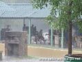 Lluvia afecta al certamen Señorita Sabinas Hidalgo 2008