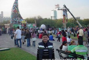 Mandan Señal de Amor en Árbol de los Valores