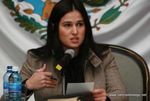 Diputada Martha de los Santos