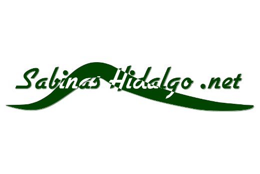 Logotipo de Sabinas Hidalgo .net